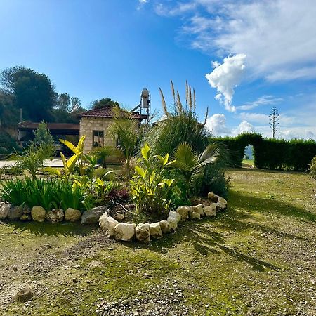 Gaia Residence, Peristerona, Polis Chrysochous Paphos 外观 照片